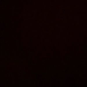 Meet your Posher, Chase